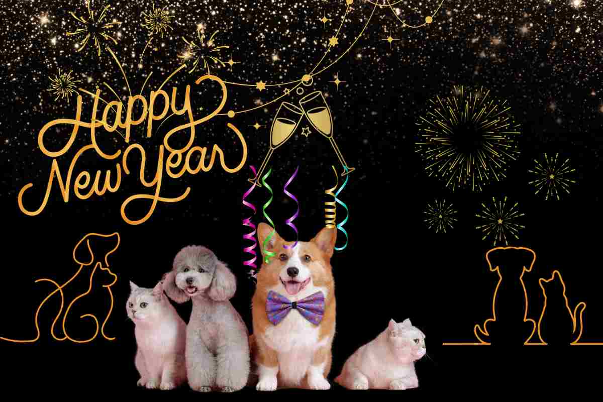 cani e gatti a capodanno