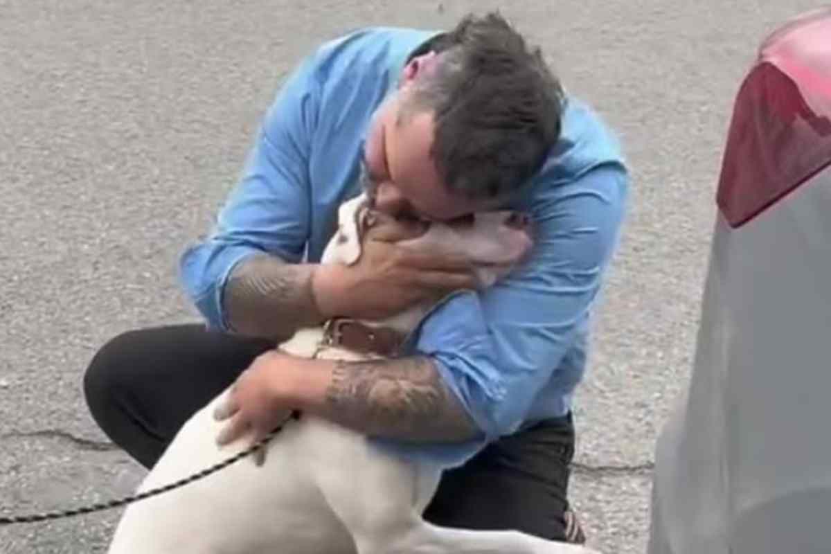 Mette una foto sui social e perde per sempre il suo cane: una storia tristissima