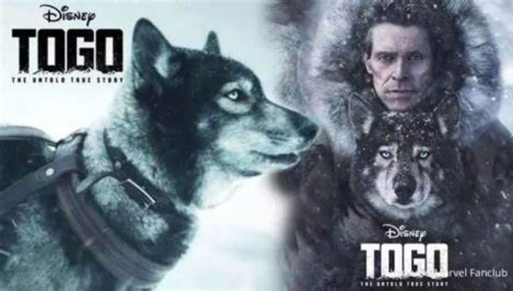 togo e balto