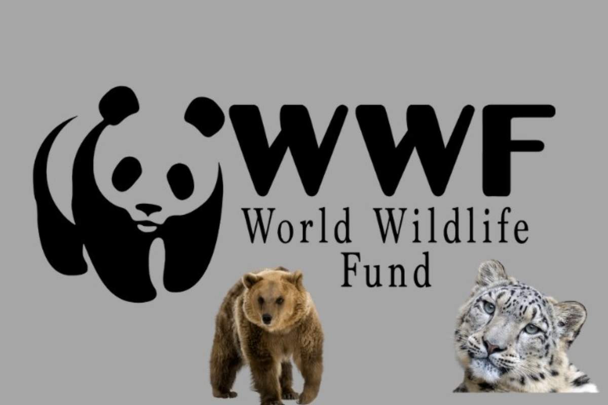 Adozione WWF