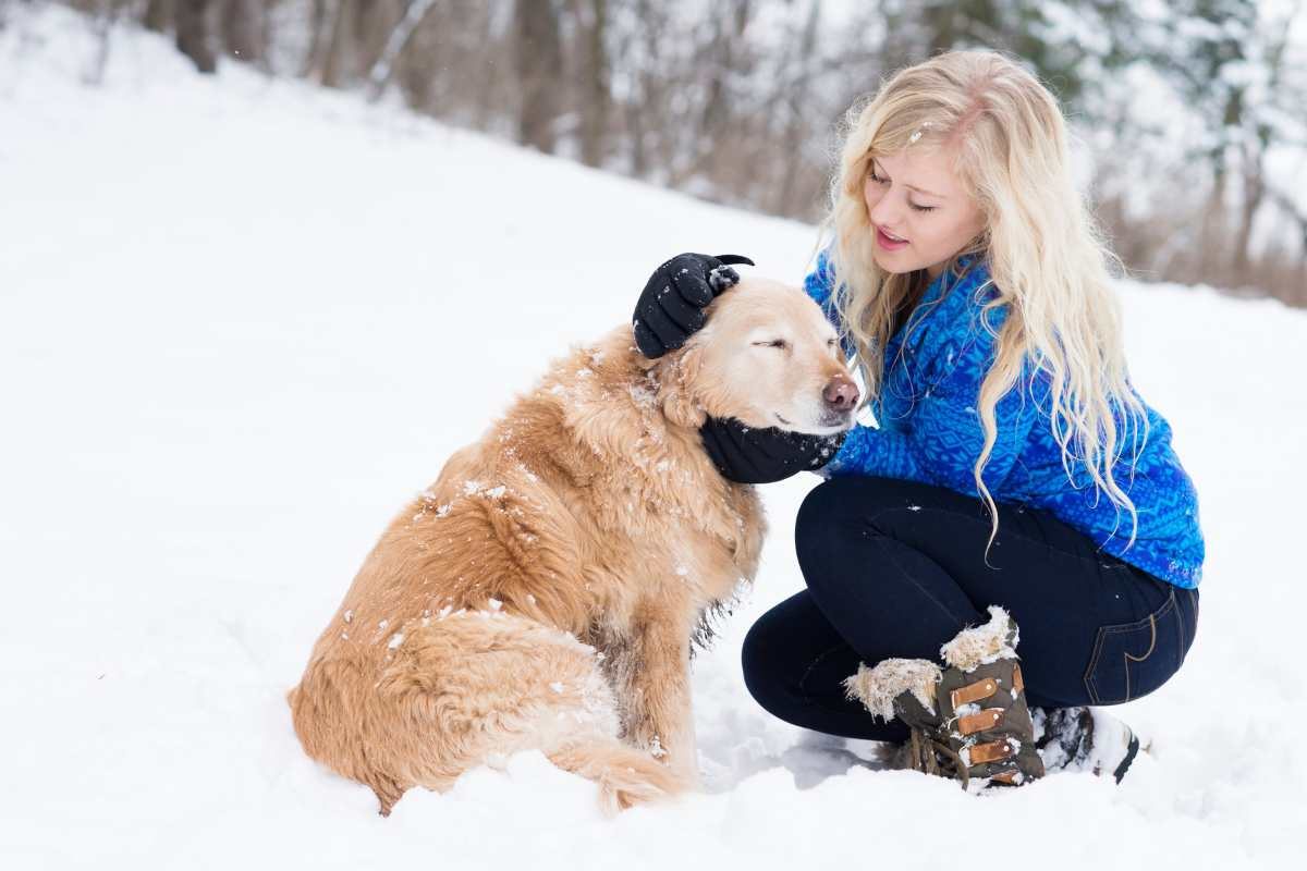 Cane sulla neve