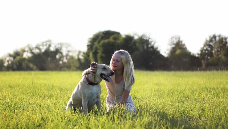 Bambina coccola un cane nella natura