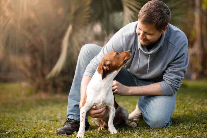 Cane guarda padrone negli occhi