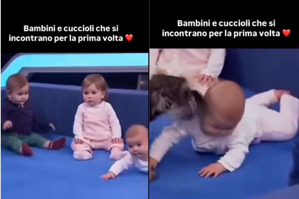 Bambini e cuccioli di cane in un recinto