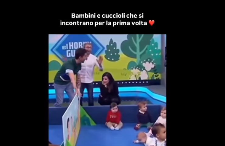 Laura Pausini con bambini e cuccioli