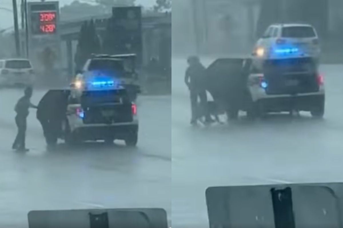 Poliziotto sotto la pioggia e cane