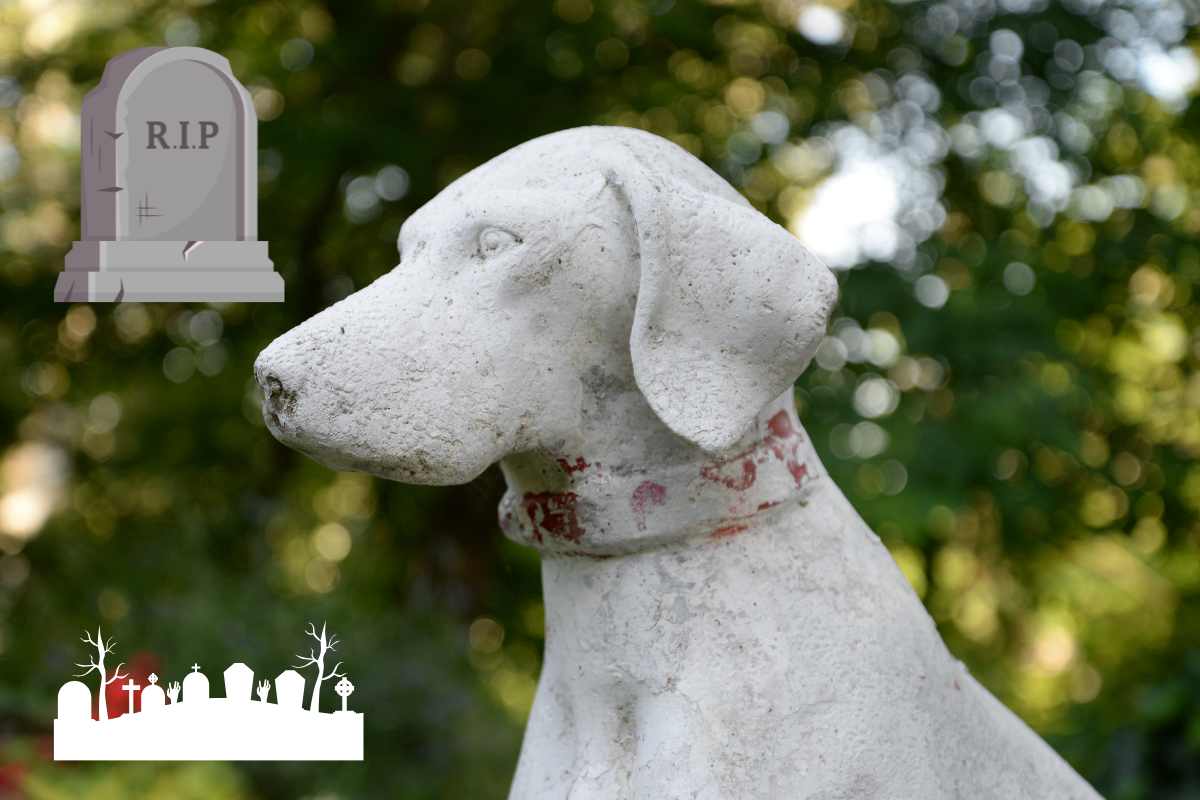 Statua del cane al cimitero