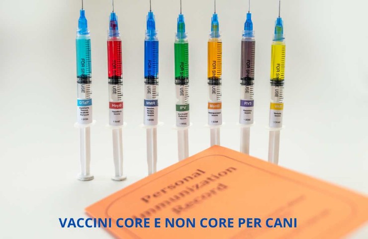 Siringhe con vaccini