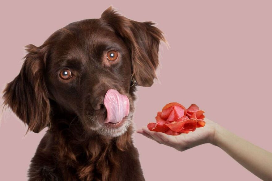 bresaola al cane