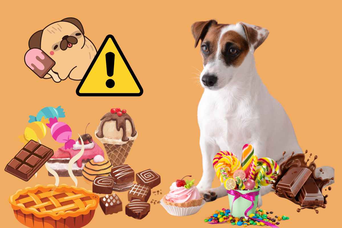 dolci pericolosi per il cane