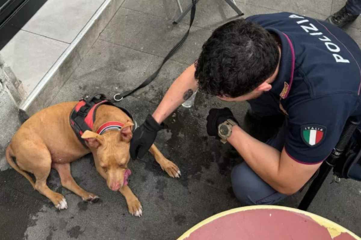 cane Hope e poliziotto